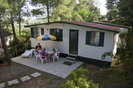 Camping Free Time