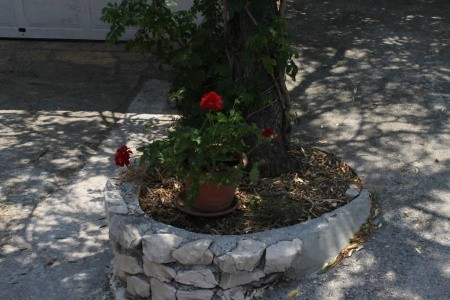 Ubytování Novalja (Pag) – 6552