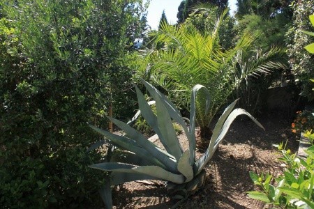 Ubytování Hvar (Hvar) – 4614