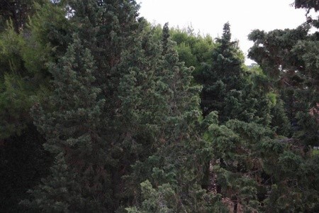 Ubytování Hvar (Hvar) – 4614