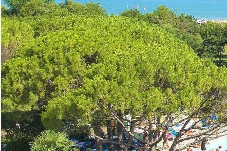 Camping Il Tridente**** Pátek-Pátek – Bibione Pineda