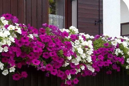 Etno Garden Sobe – Plitvička Jezera
