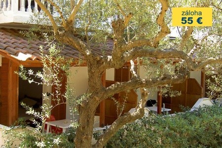 Studia Athina Tsilivi