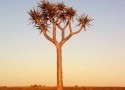 Namíbia, Botswana, Zimbabwe, Zambia (Komfort)