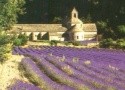 Veľký okruh Francúzskom (Eurokemping)