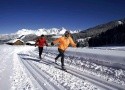APPARTEMENTHAUS EDELWEISS - TYP B