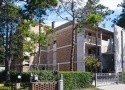 BIBIONE