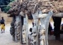 SENEGAL, MALI, BURKINA FASO