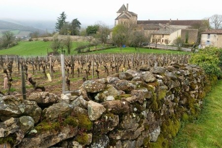 Za vínem a krásami Burgundska a kraje Beaujolais letecky