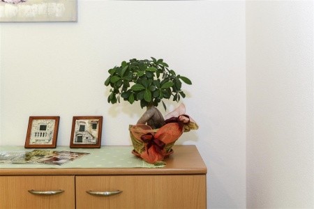 Apartments Jadranka / Studio S1