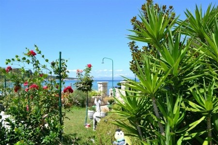 Apartments Ankica