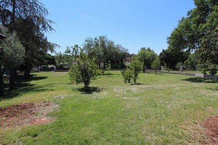 Holiday House Flego