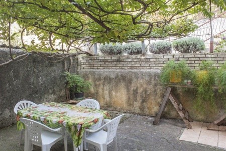 Apartments Franko