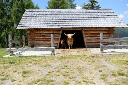 Chata Gnesau Pre 7 Osôb