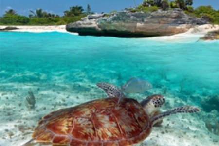 Objavte nové exotické destinácie: Horúce tipy na superhorúcu dovolenku