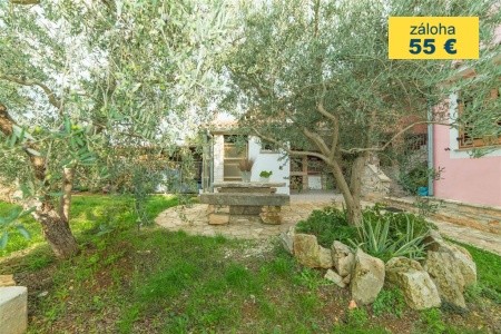 Apartment Andrea  / Galery One Bedroom