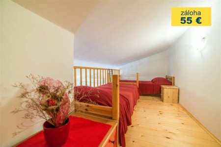 Apartment Andrea  / Galery One Bedroom