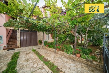 Apartment Andrea  / Galery One Bedroom