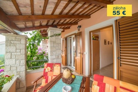 Apartment Andrea  / Galery One Bedroom
