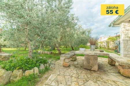 Apartment Andrea  / Galery One Bedroom