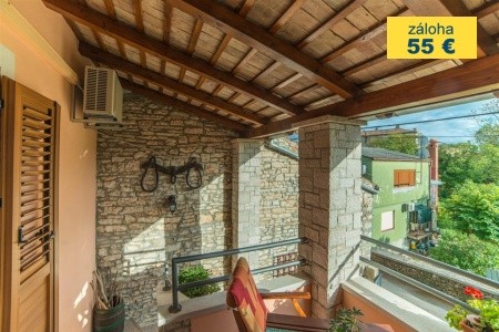 Apartment Andrea  / Galery One Bedroom
