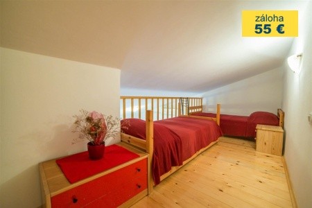 Apartment Andrea  / Galery One Bedroom