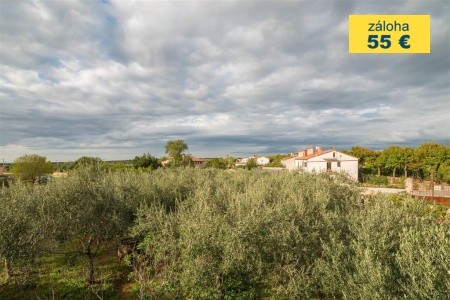 Apartment Andrea  / Galery One Bedroom