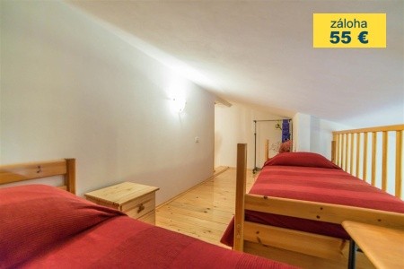 Apartment Andrea  / Galery One Bedroom