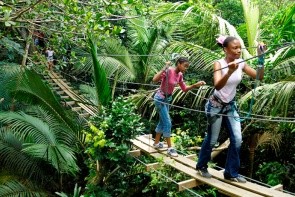 Le Jardin Malanga