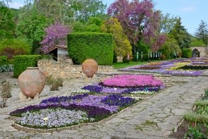 Botanická zahrada