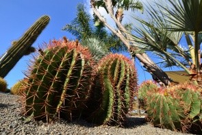 Botanická záhrada Ravino Gardens
