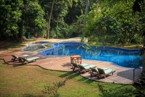 Jungle Village